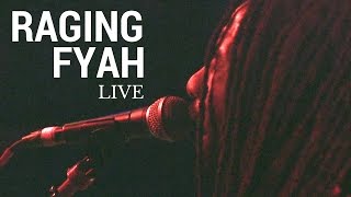 Raging Fyah Live 2017 NYC Music for the rebels [upl. by Nauaj]