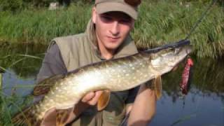 Hans Koopman de quotStealthquot jerkbait demo [upl. by Waterman912]