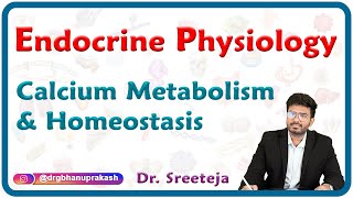 Calcium metabolism and Homeostasis  Endocrine Physiology USMLE Step 1 [upl. by Burty957]