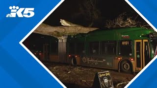 Bomb cyclone leaves widespread damage around western Washington [upl. by Guthrie586]