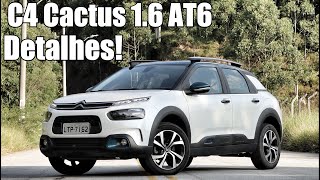 Citroen C4 Cactus Feel 2019 em detalhes  Falando de Carro [upl. by Twedy964]