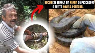 Sucuri se enrola na perna de pescador O efeito da Novela Pantanal e a Sucuri [upl. by Christabel]