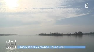 FEUILLETON  LEstuaire de la Gironde au fil de leau [upl. by Leasia]