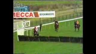 1989 Roux Restaurants Tolworth Hurdle [upl. by Adelina]