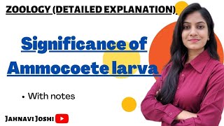 Significance of Ammocoete larva Notes Bsc 2nd year Zoology [upl. by Lebezej139]