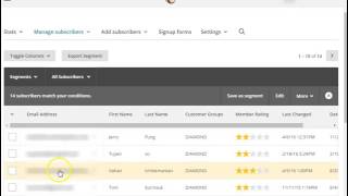 How To Create Segments in MailChimp [upl. by Gayn]