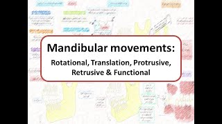 Mandibular movements Rotational Translational Protrusive Retrusive amp Functional [upl. by Iny]