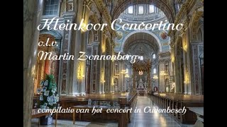 Kleinkoor Concertino in Oudenbosch [upl. by Nerek]