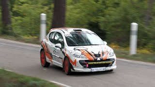 Rallye de Sarrians 2024 AlonsoAugier 207 RC [upl. by Ahsiemaj]