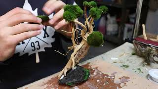 Jak zrobić drzewko Bonsai do akwarium [upl. by Snell]