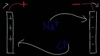 Electrolysis of NaCl  electrolysis basic explanation  ncert [upl. by George304]