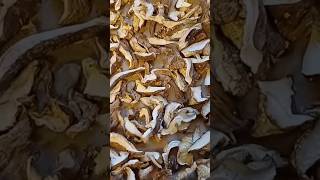 Uncovering Secret Spices For Cooking Perfection cooking mushroom [upl. by Veneaux]