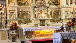 St Casimir Mass for October 13 2024 [upl. by Niret]