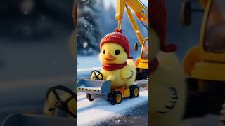 The cute duck works hard in the winter season🐥cuteduck entertainment [upl. by Atinuj]