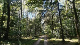 Leśniczówka na sprzedaż Warmia I Mazury [upl. by Ahsatniuq61]