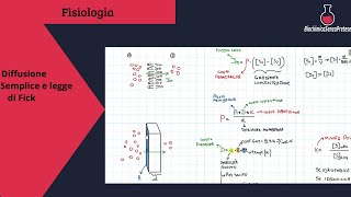 Diffusione semplice e prima legge di Fick [upl. by Sulihpoeht]