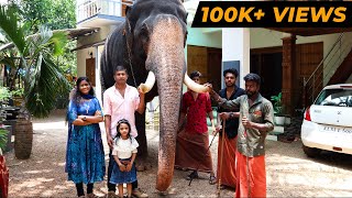 ഗജവീരൻ ശ്രീ അയ്യപ്പനെ പരിചയപ്പെടാം  Kerala Elephant Sree Ayyappan  Cheerulli Media [upl. by Soulier]