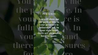 Christian Motivation from Psalm 1611 [upl. by Ecnerwaled]