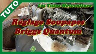 Réglage soupapes Briggs Quantum OHV [upl. by Oicelem611]