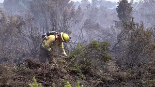 Avanza el control de incendios forestales en la comuna de Puerto Montt [upl. by Zilada]