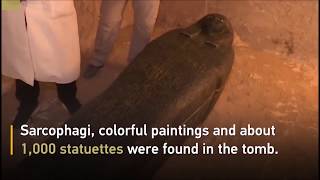 Real News New tomb found in Egypts Valley of the Kings [upl. by Savior]