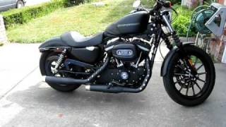 Harley Davidson Sportster Iron 883 Rinehart [upl. by Roscoe]