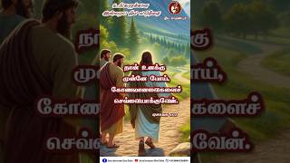 Vendaam Vendaam Father S J Berchmans shorts youtubeshorts frsjberchmans tamilchristsongs [upl. by Schlesinger250]