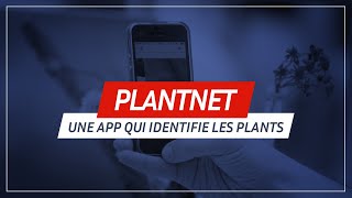 Plntnet une application qui identifie des plantes 🌱😲 [upl. by Onaivlis]