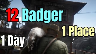 Bagging a Dozen Badger in One Spot in One Day  Red Dead Redemption 2 [upl. by Bergess]