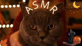 ASMR Sleep amp Relaxation✨Brain Tingles🤤 No Talking [upl. by Marra]