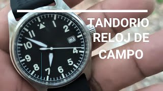 TANDORIO RELOJ DE CAMPO ACERO ZAFIRO AUTOMÁTICO [upl. by Crosby]