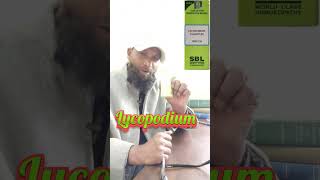 Lycopodium Homeopathic Medicine For Man Power [upl. by Neom41]