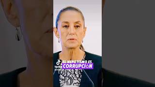 EL NEPOTISMO ES CORRUPCIÓN ClaudiaSheinbaumP PresidentA mexico ultimahora poderjudicial [upl. by Sucramej]