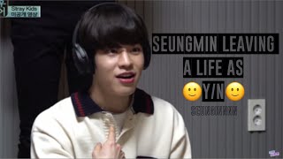 Seungmin being the official YN in straykids [upl. by Flemings]