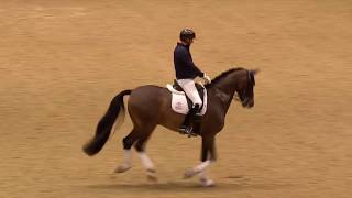 Dressage Unwrapped  2019 Olympia The London International Horse Show [upl. by Rajiv]