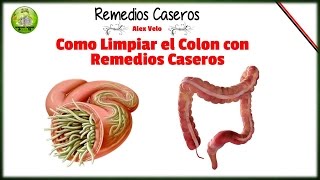 Como limpiar el colon con remedios caseros [upl. by Rena650]