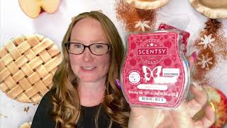 My Top 10 Scentsy Bars of all time [upl. by Yssirc338]