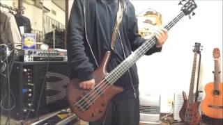 Korn Got the life  bass cover [upl. by Studner]