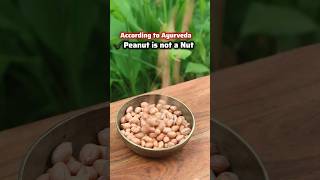 Peanut is not a NUT🤯✅ Ayurveda Facts on PeanutsGroundnuts shorts [upl. by Adnawed]