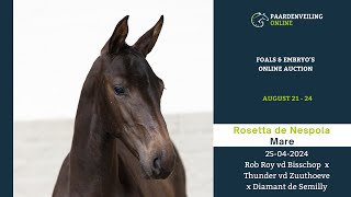 Rosetta de Nespola – Foals amp Embryo’s Online Auction – Paardenveilingonlinecom [upl. by Uis297]