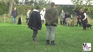 V E G honden training Zaterdag 19 Oktober 2024 [upl. by Otti]