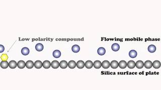 Chromatographic Separation Explained [upl. by Nauj228]