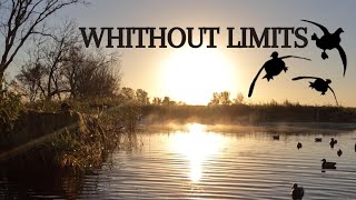 Duck Hunting Without Limits Memories That Are Lasting  Minnesota Waterfowl Hunt [upl. by Myrah]