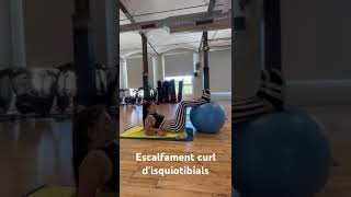 Escalfament curl disquiotibials [upl. by Anilys558]