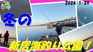 【静岡県浜名湖新居海釣り公園】でサビキ・ブッコミ仕掛けエサ釣り Lake Hamana Arai Sea Fishing Park Sabiki and Bukkomi bait fishing [upl. by Prudie]