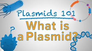 What is a Plasmid  Plasmids 101 [upl. by Edyaj]