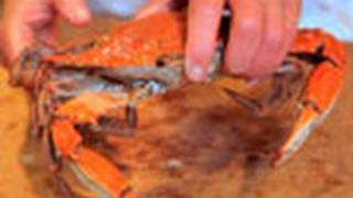 How to Pick and Eat Blue Crab  Southern Living Test Kitchen [upl. by Buzzell]