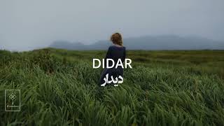 Didar Shajarian دیدار شجریان [upl. by Donnie973]