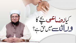 Kya Razai Bachy ka Warasat Main Haq Ha   Razai Bachy Ka Warasat Main Haq  Mufti Qasim Attari [upl. by Boonie]