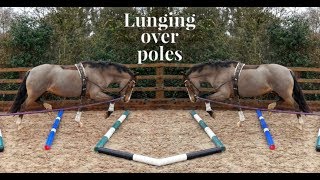 LUNGING OVER POLES MADE EASY [upl. by Ahcsat]